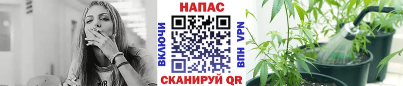 ГАШИШ Богданович